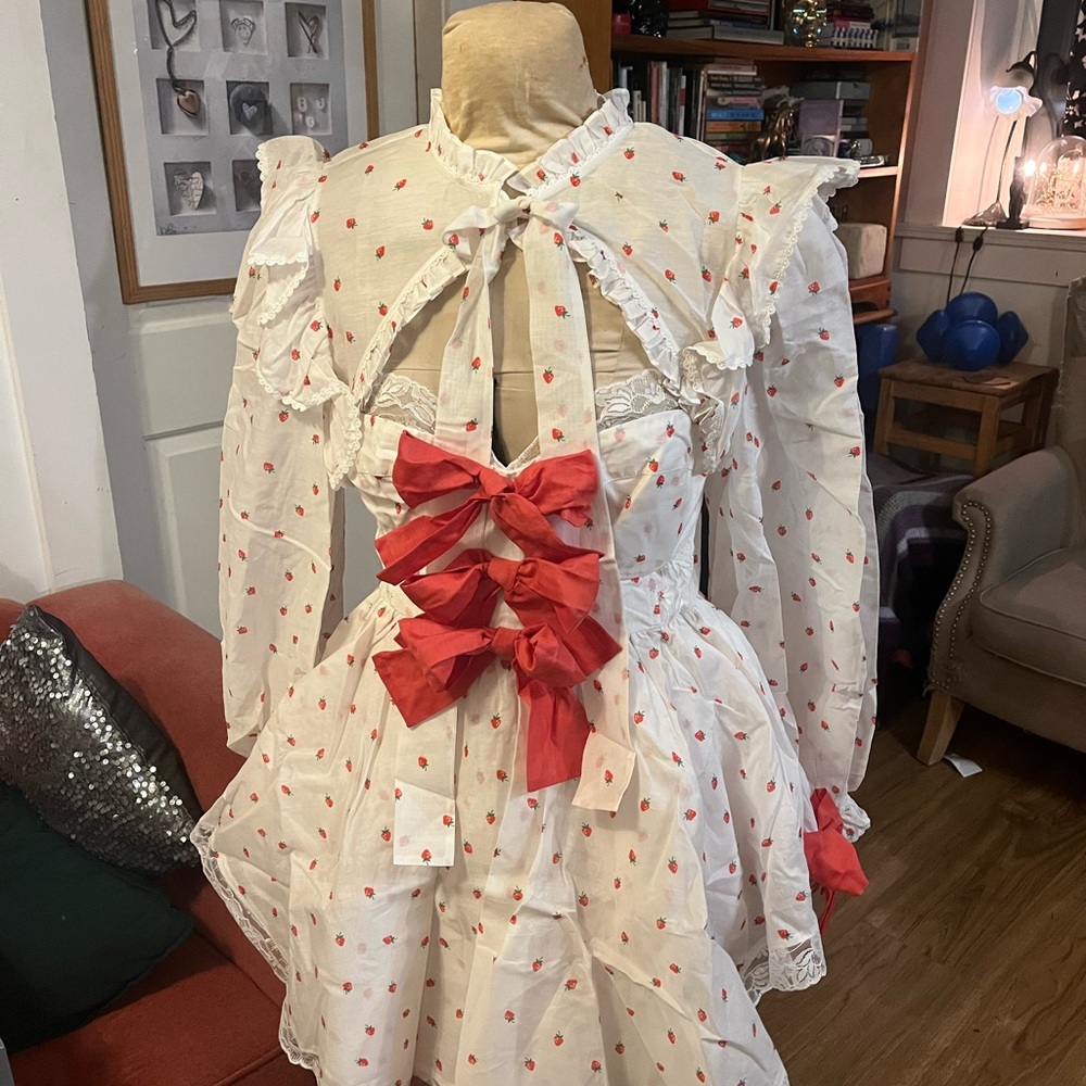 BNWT Selkie Organdy Strawberry “La Fraise Cake Shop” Dress - Picture 6 of 6